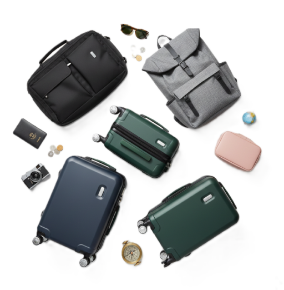 Picture for category Luggages
